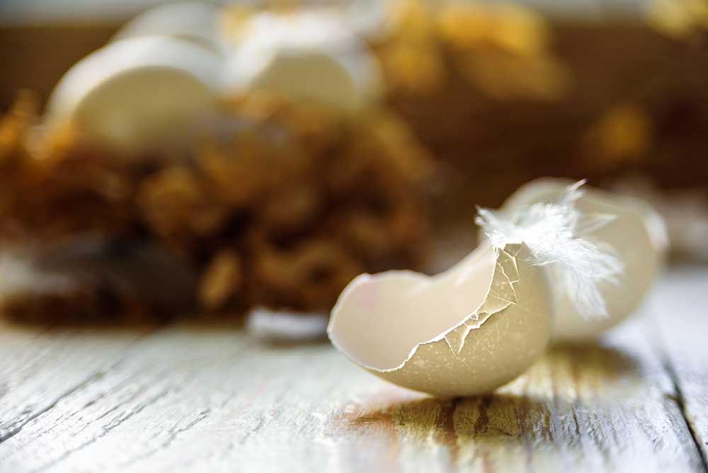 senso-metaforico-della-vita