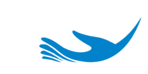 Mano bassa per design@0.5x